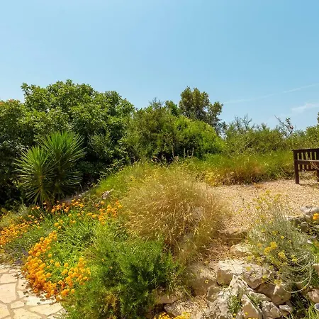 Hedera Estate, House Hedera فيلة *