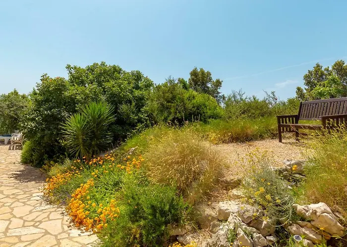 Hedera Estate, House Hedera Villa *